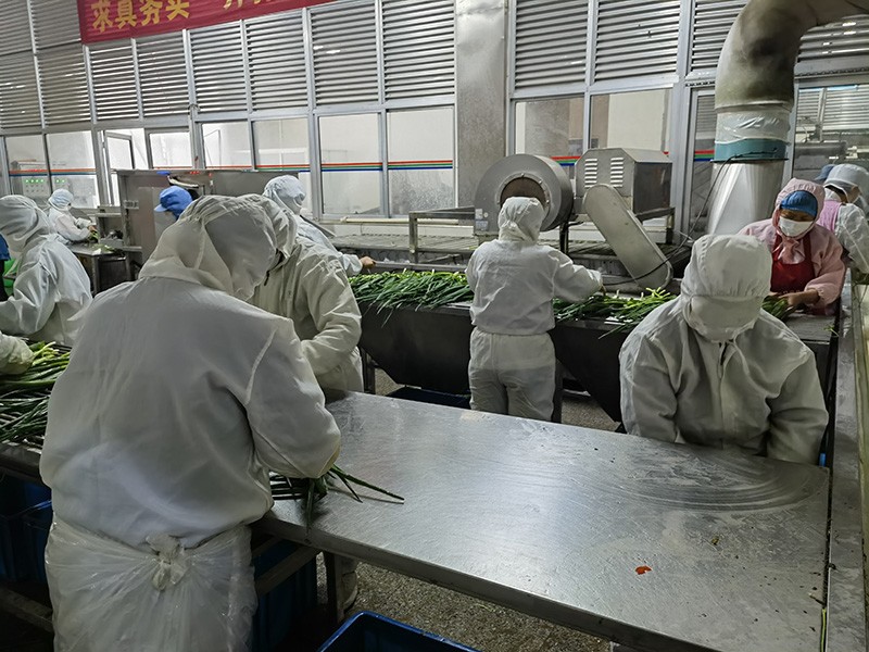 脫水蔥圈系列2