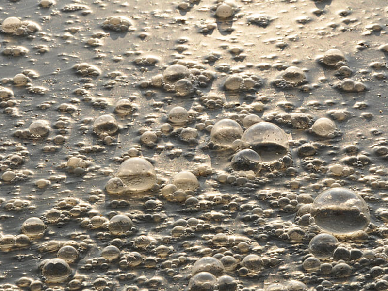 檢測工業(yè)污水可以用在線氨氮檢測儀嗎？