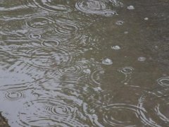 雨量監(jiān)測(cè)儀，提供雨量原始數(shù)據(jù)