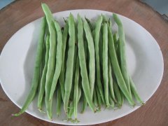 農(nóng)藥殘留檢測(cè)儀，檢測(cè)四季豆農(nóng)藥殘留含量