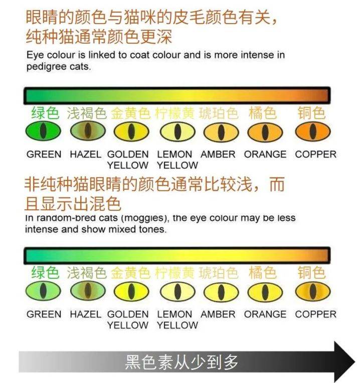 最新黄色网站,色情网站危害与应对建议