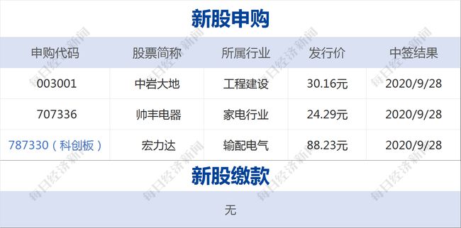 2024澳门今晚开奖号码香港记录,财务解析方案_应用集92.447