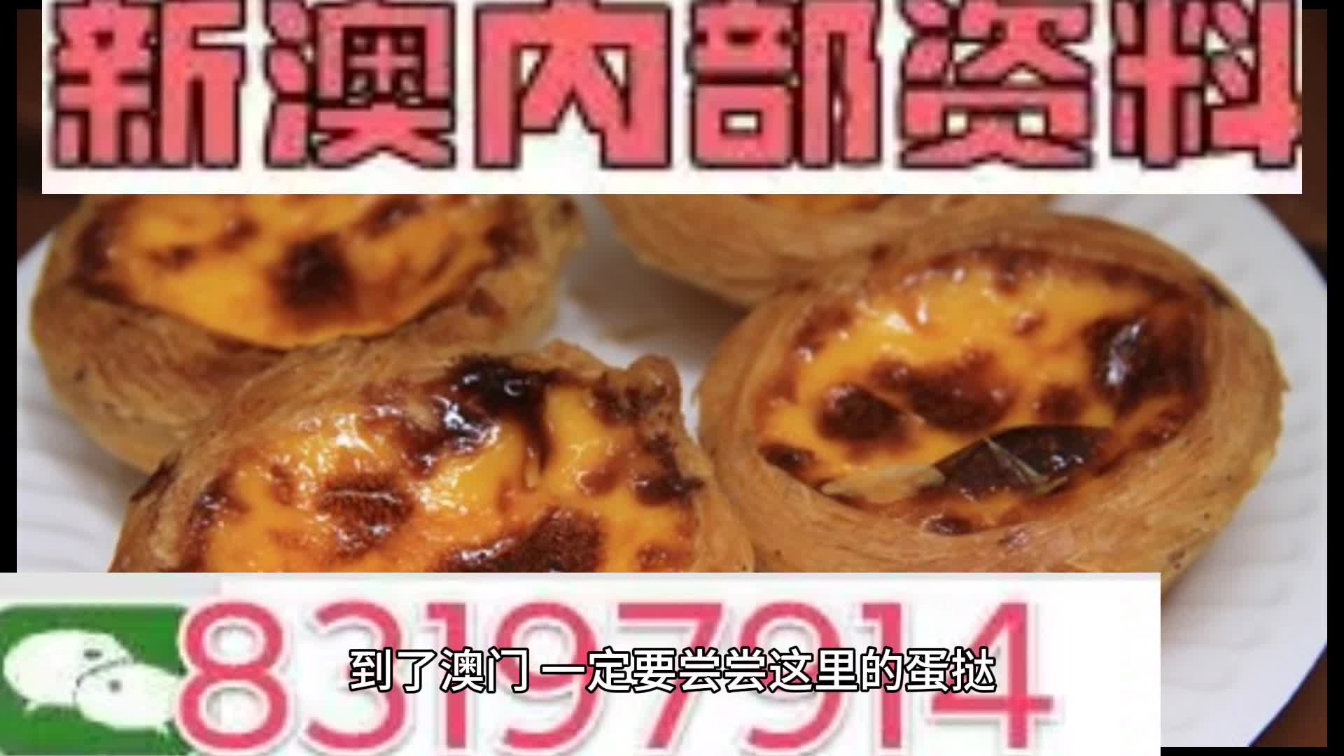 新澳门资料大全正版资料,深入应用数据执行_生动版20.573