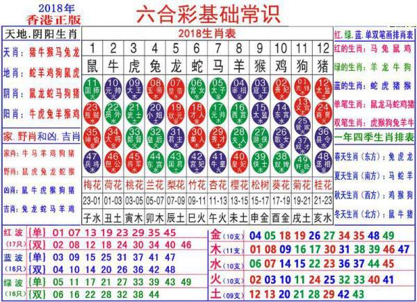 澳门正版资料大全资料生肖卡,澳门正版资料大全资料生肖卡，深度解析与实际应用