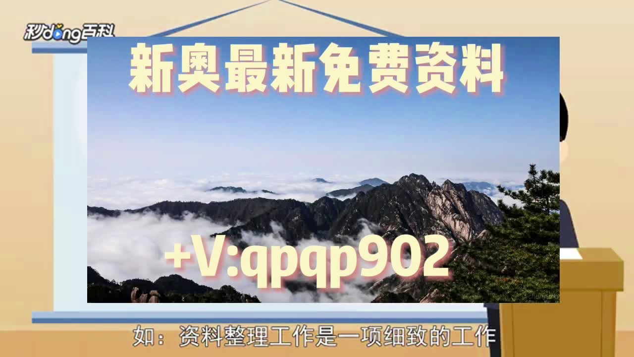 新奥免费精准资料大全,新奥免费精准资料大全，深度解析与实用指南