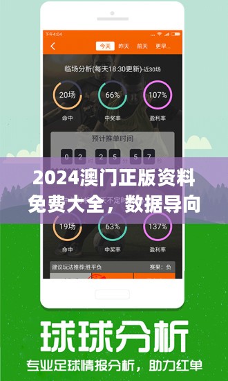 2024新澳正版资料免费大全,探索与分享，2024新澳正版资料免费大全