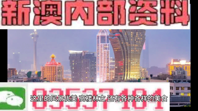 新澳精准资料免费提供2024澳门,新澳精准资料免费提供，探索澳门未来的蓝图（2024澳门展望）