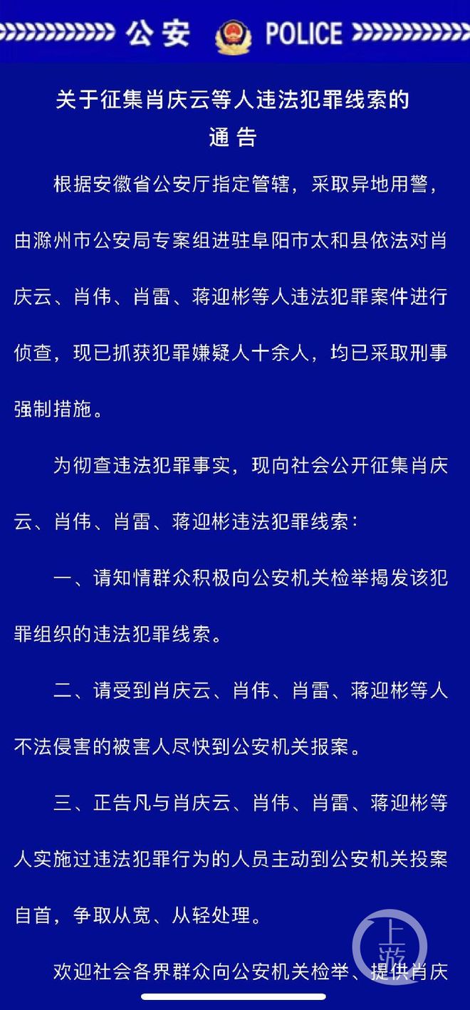 揭秘一肖一码100精准,揭秘一肖一码，犯罪行为的真相与警示