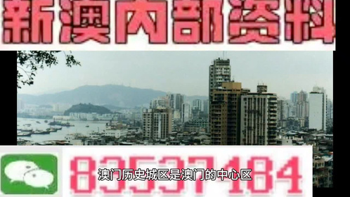 2024澳门精准四不像正版,澳门精准四不像正版与犯罪问题探讨