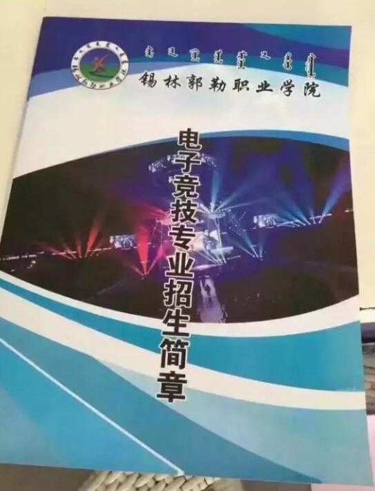 2024澳门天天开好彩大全,澳门天天开好彩，梦想与现实之间的博弈