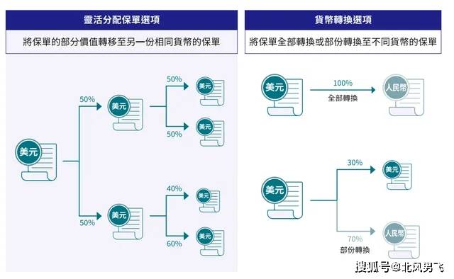 2024年香港开奖结果记录,揭秘香港彩票市场，2024年开奖结果记录深度解析