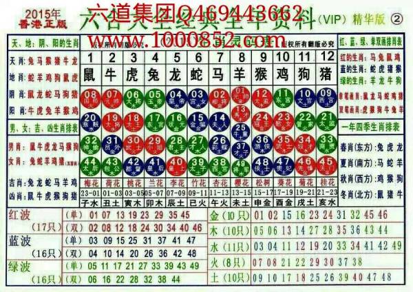 2024十二生肖49码表,揭秘2024十二生肖与数字彩票的神奇联系——揭秘49码表中的奥秘