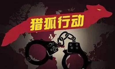 澳门单双期期准,澳门单双期期准与犯罪问题探讨