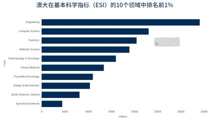 澳门统计器生肖统计器,澳门统计器与生肖统计器，探索数据背后的文化印记