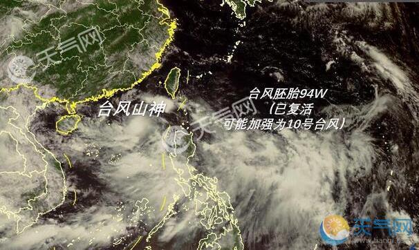 中央气象台台风最新消息,中央气象台台风最新消息深度解析