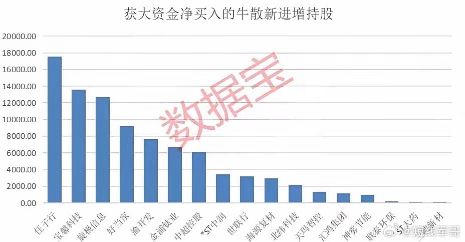 牛散最新持股,牛散最新持股动向及其投资策略深度解析