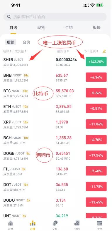 狗币最新价格行情,狗币最新价格行情分析