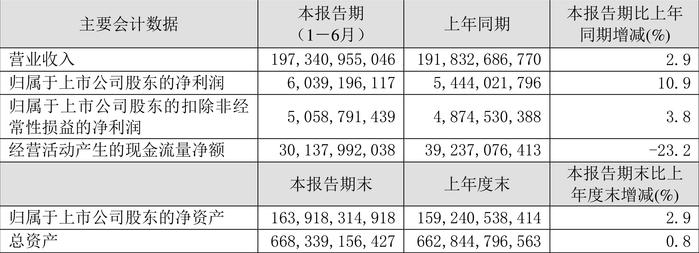 2024新澳资料大全,数据驱动方案_儿童版51.959