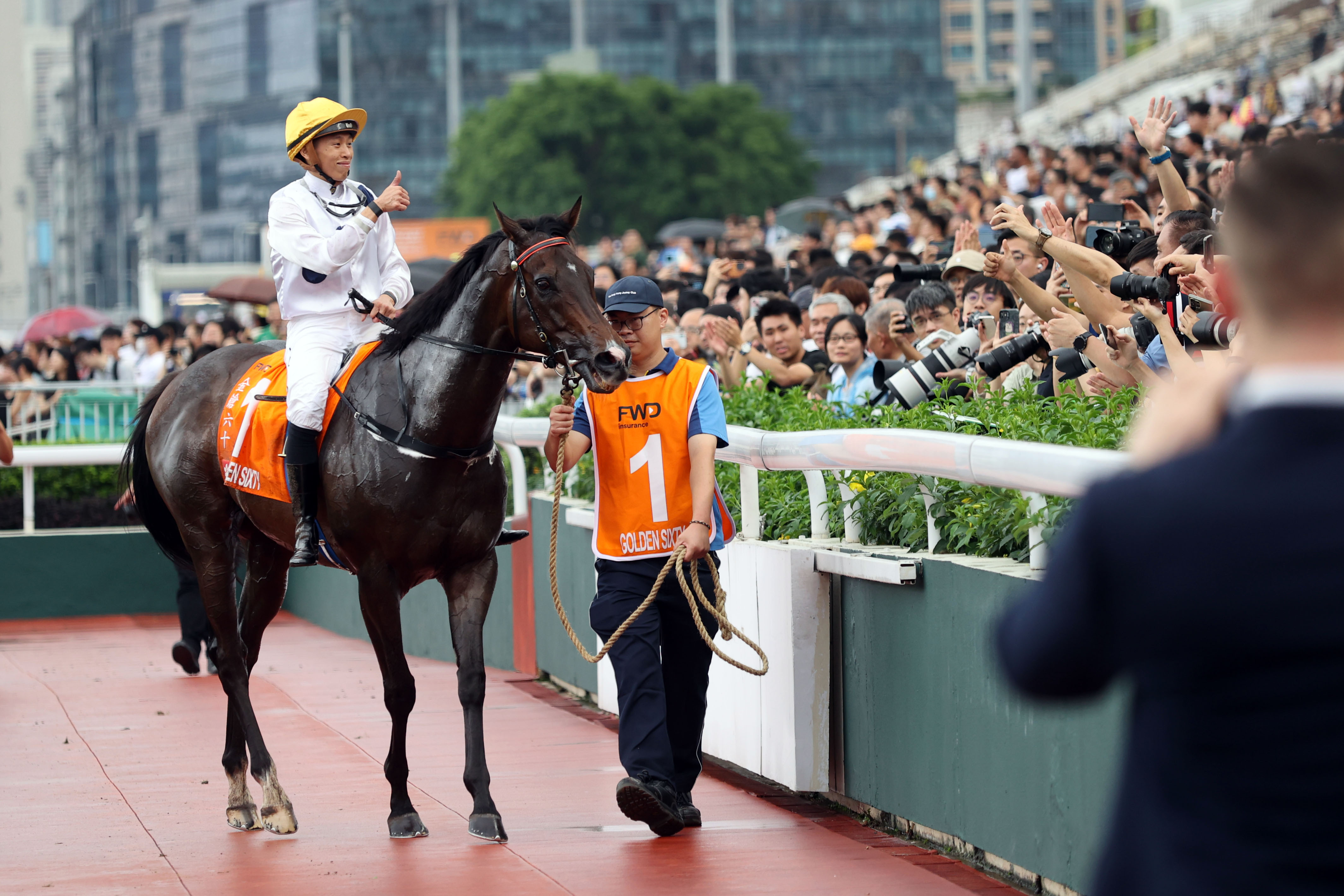 2024香港赛马全年免费资料,实践调查说明_定义版60.362