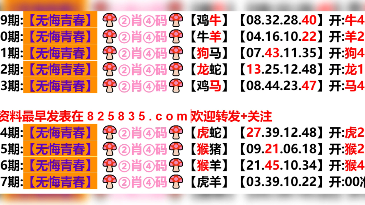 新奥2024一肖一码,最新碎析解释说法_稳定版42.546