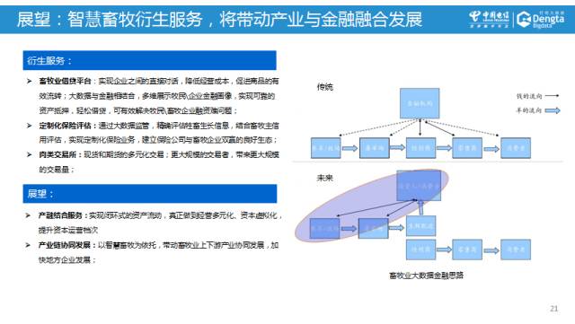 新澳2024年精准资料32期,系统评估分析_智慧共享版13.416