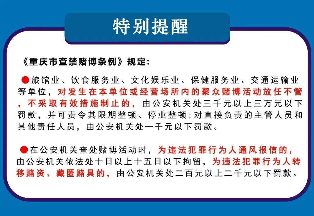 2024澳门天天六开彩查询,关于澳门天天六开彩查询的探讨与警示——远离赌博，切勿触碰法律红线