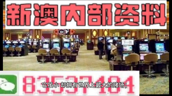 新澳门资料免费长期公开,2024,新澳门资料免费长期公开与未来展望（2024）