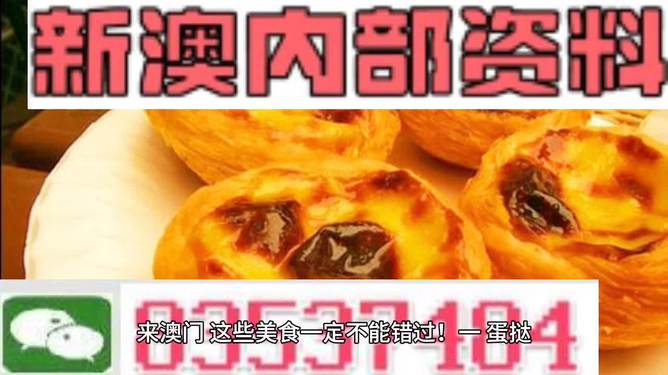 澳门内部正版资料大全,澳门内部正版资料大全——揭示违法犯罪问题