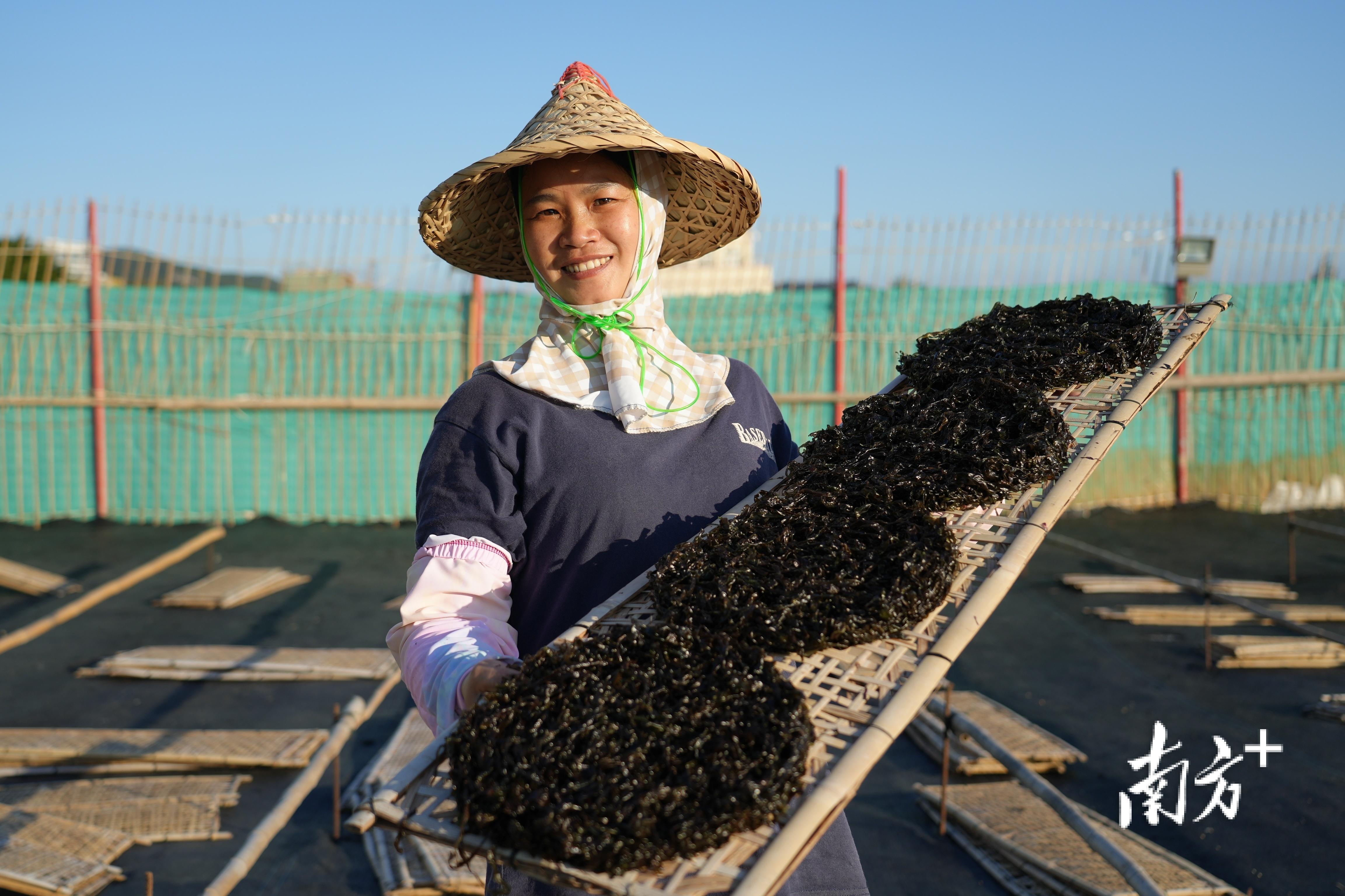 陆丰市科技局等最新招聘信息,陆丰市科技局最新招聘信息及职业机会探讨