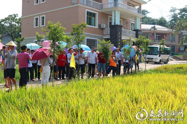 荆州市市农业局最新项目,荆州市市农业局最新项目，引领农业现代化，助力乡村振兴