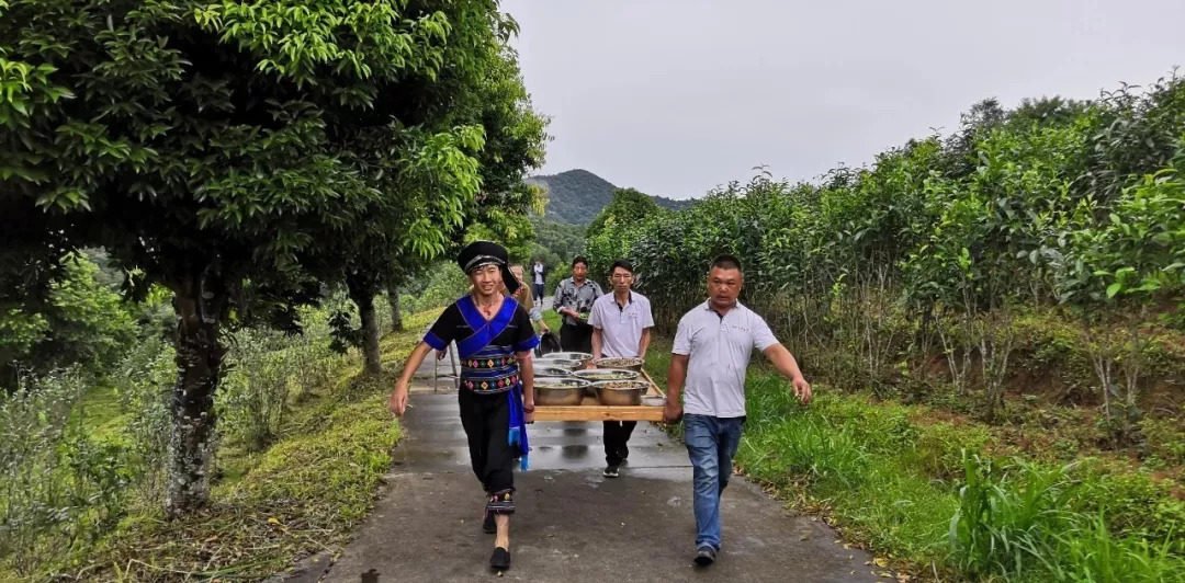 双江拉祜族佤族布朗族傣族自治县自然资源和规划局最新人事任命,双江拉祜族佤族布朗族傣族自治县自然资源和规划局最新人事任命