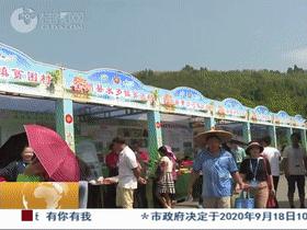 桂林市市广播电视局最新招聘信息,桂林市广播电视局最新招聘信息概览