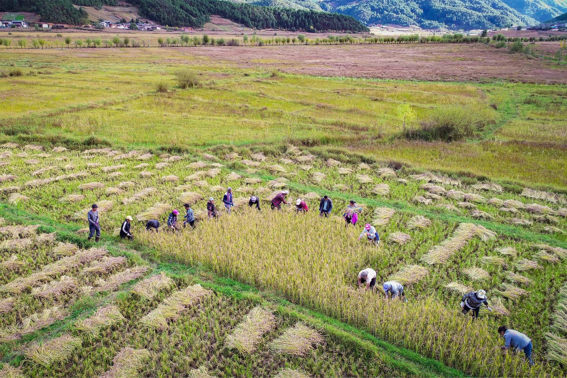 攀天阁乡最新新闻,攀天阁乡最新新闻，发展动态与社区更新