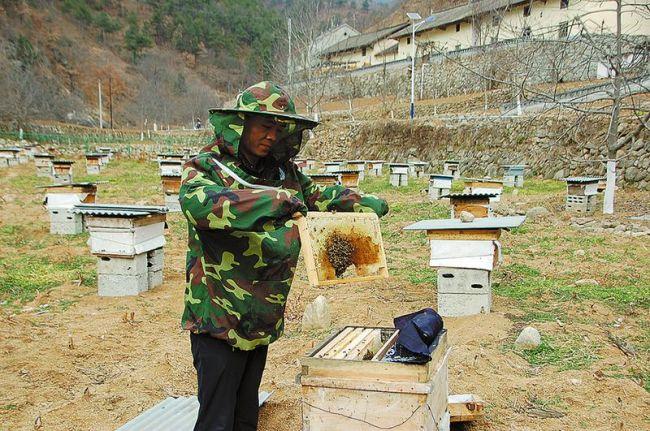 柞水县财政局最新项目,柞水县财政局最新项目，推动地方经济高质量发展