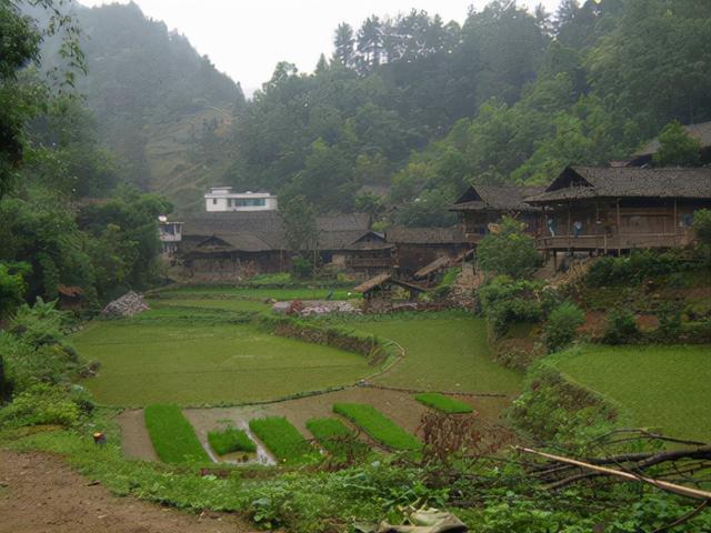 酉阳土家族苗族自治县自然资源和规划局最新项目,酉阳土家族苗族自治县自然资源和规划局最新项目概览