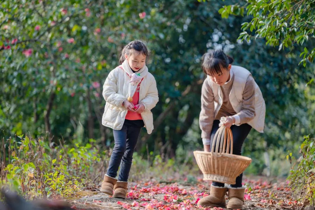 那若村最新招聘信息,那若村最新招聘信息概览