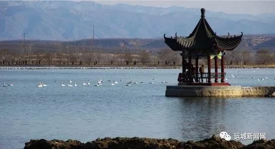 芮城县文化广电体育和旅游局最新项目,芮城县文化广电体育和旅游局最新项目，推动县域文化体育事业迈上新台阶