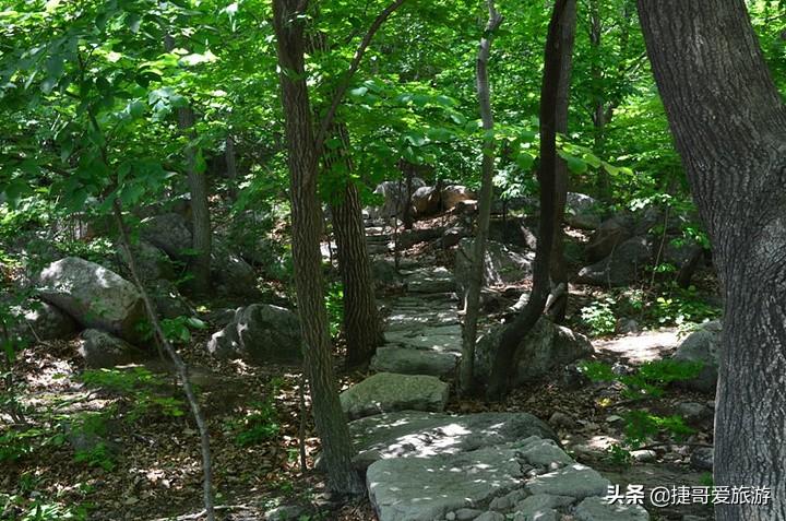 岫岩满族自治县文化广电体育和旅游局最新招聘信息,岫岩满族自治县文化广电体育和旅游局最新招聘信息概览