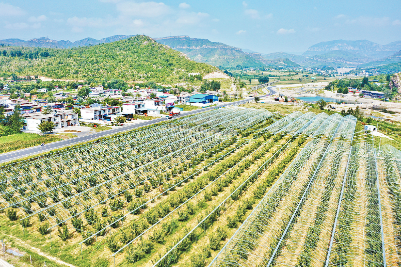 璧山村最新领导,璧山村最新领导——引领乡村发展的核心力量