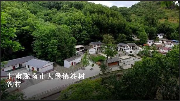 灯光村最新项目,灯光村最新项目，点亮乡村未来，构建宜居新典范