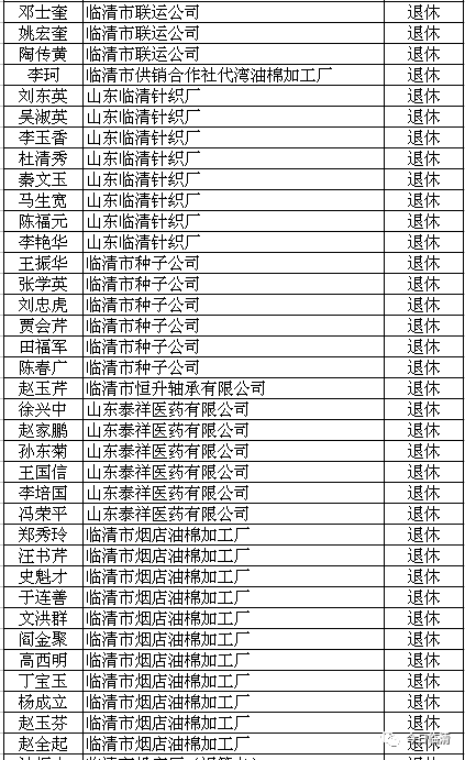 临清市人力资源和社会保障局最新项目,临清市人力资源和社会保障局的最新项目，推动地方经济与社会发展的强大引擎