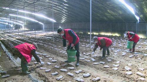 海阳市农业农村局最新项目,海阳市农业农村局最新项目，推动农业现代化，助力乡村振兴