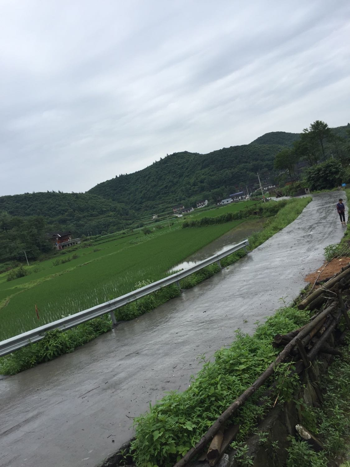 田家河村民委员会最新天气预报,田家河村民委员会最新天气预报