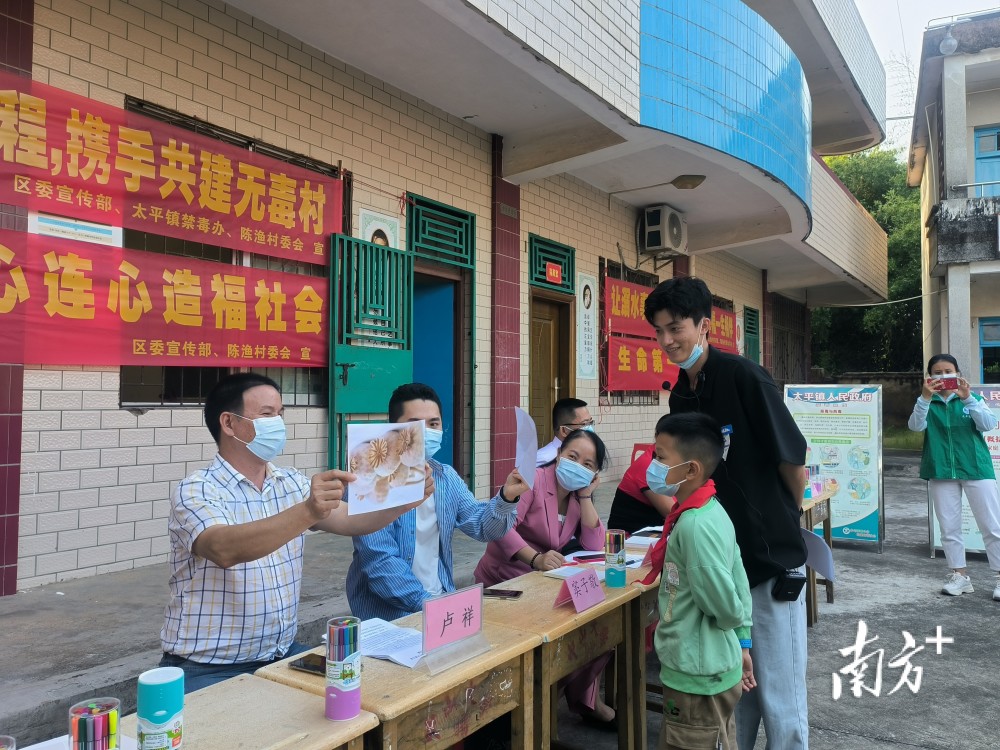 麻章区小学最新项目,麻章区小学最新项目，探索与启示