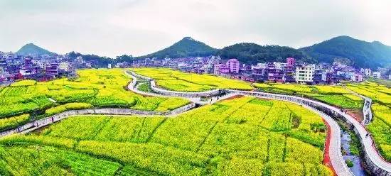 虹山乡最新领导,虹山乡最新领导团队，引领乡村走向新篇章