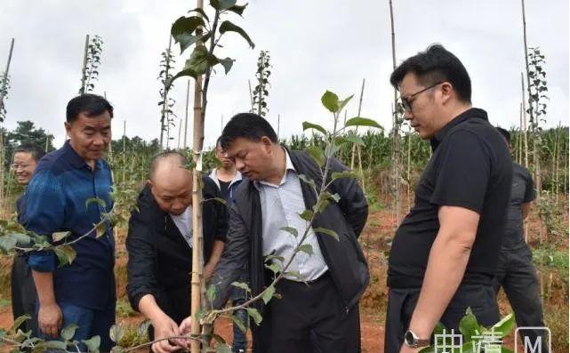 龙海市医疗保障局?最新新闻,龙海市医疗保障局最新动态报道