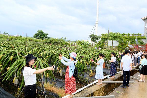 新澳精选资料免费提供|便利释义解释落实,新澳精选资料免费提供，助力学习之路，便利释义解释落实