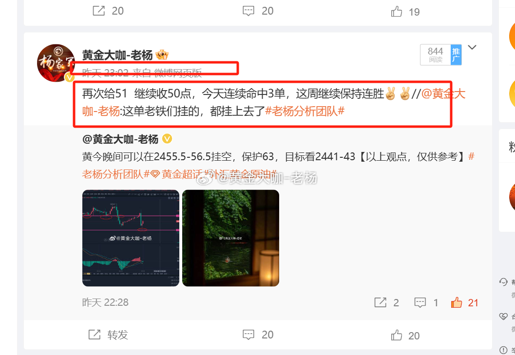 最准一肖一码100精准的评论|狼籍释义解释落实,最准一肖一码与狼籍释义，深度解析与精准评论