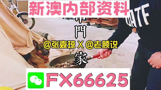 新澳门精准资料大全管家婆料|功率释义解释落实,新澳门精准资料大全与功率释义，管家婆料在行动中的落实