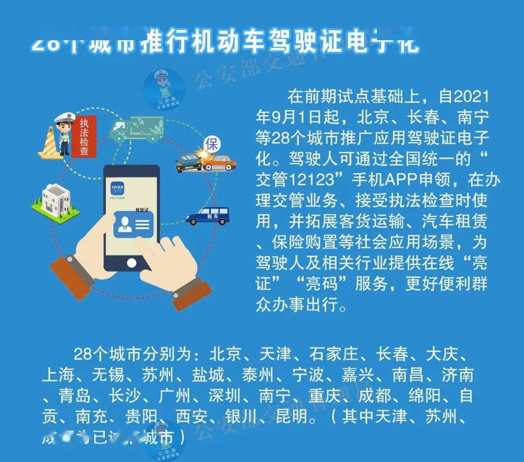 2025澳门正版免费码资料|丰盛释义解释落实,探索澳门正版资料的世界，丰盛释义、解释与落实